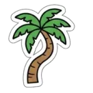 Thengu Coconut Palm